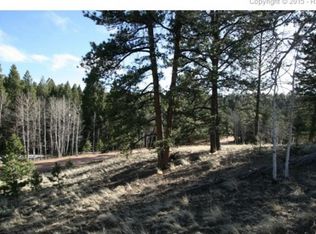 407 Granite Rd, Florissant, CO 80816