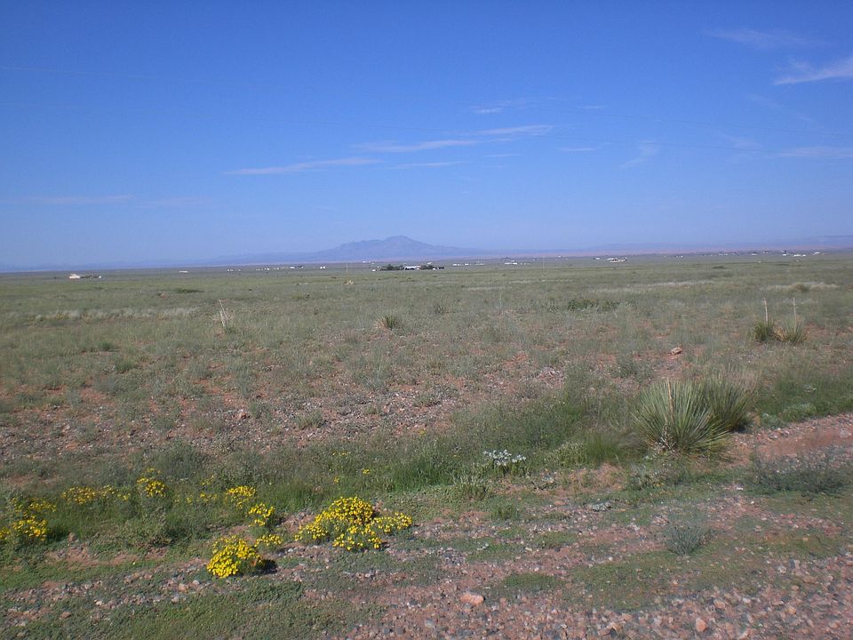 2nd image of Tara Loop