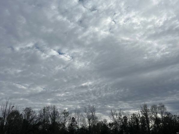 0 Morning Star Rd, Gainestown, AL 36540