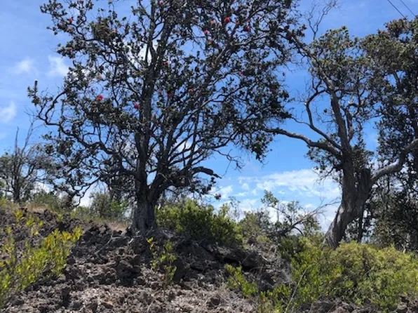 Trade Wind Blvd Lot 15, Ocean View, HI 96737