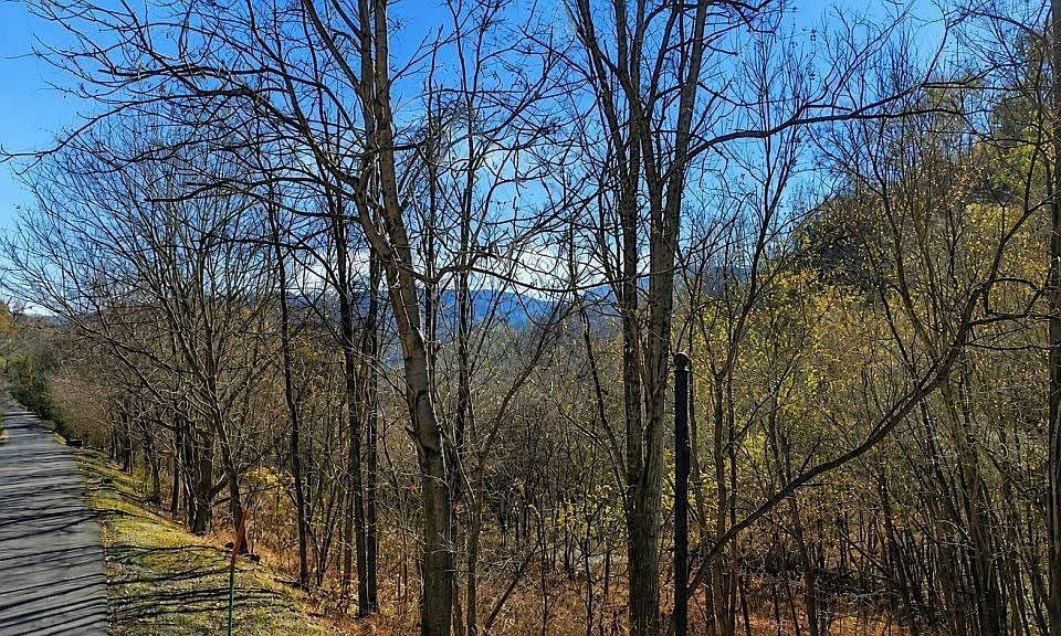 2nd image of 0 Blackberry Ridge Way Lot 86