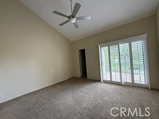 25 Palmera — Photo 20