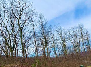 9 Crockett Ridge Rd #181, Black Mountain, NC 28711