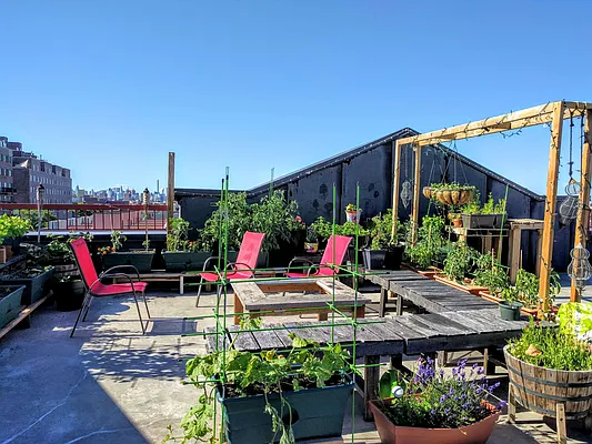 Rented by Manhattan Management LLC | media 58