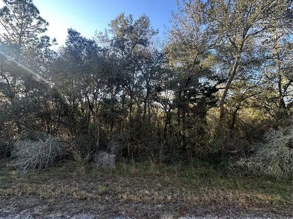 3908 W Tropic Ln Lot 4, Dunnellon, FL 34433