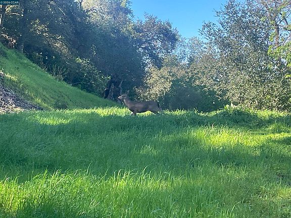 2nd image of 2965 Rohrer Dr