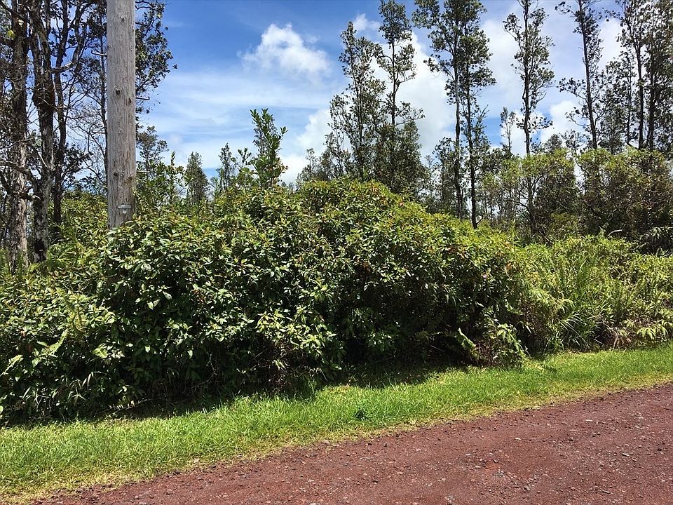 1st image of Hibiscus Dr Lot 38