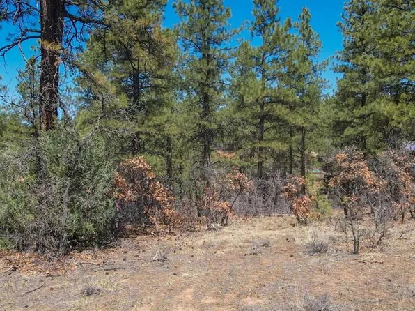 87 Engineer Point, Pagosa Springs, CO 81147