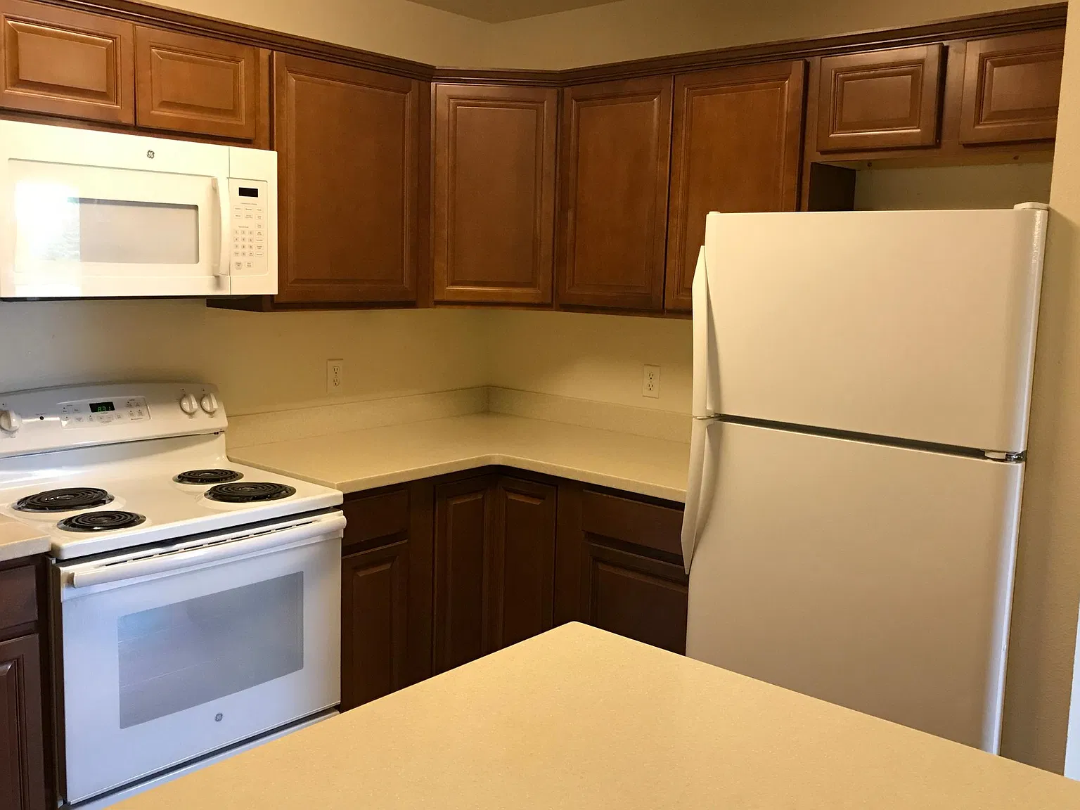 3 bed, 950 sqft, $1,300 — Photo 2