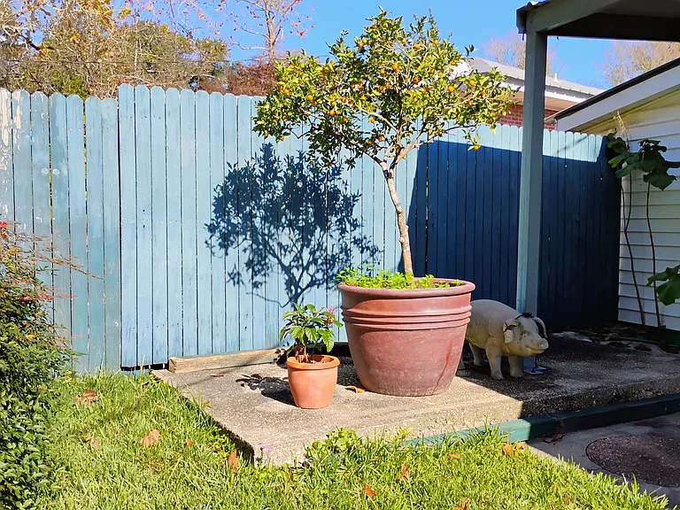 2256 Bardwell Dr — Photo 20