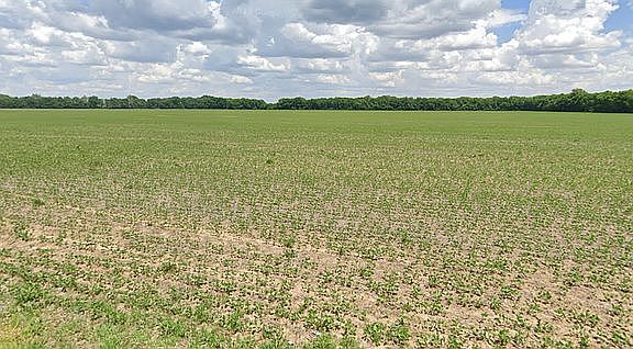 2nd image of 0 N Mann Rd