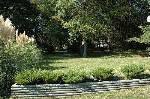 Professionally landscaped