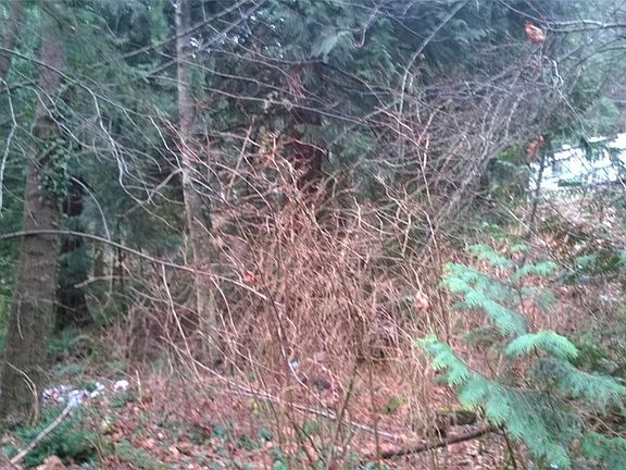 2nd image of 44652 SE 151st Pl