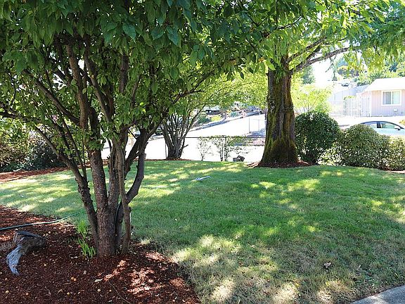 Front yard
