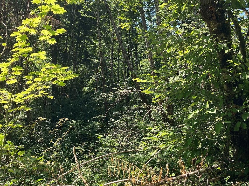 1111 Non Assigned, Hoodsport, WA 98548 Zillow