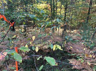 Par A 16th St, Baldwin, MI 49304