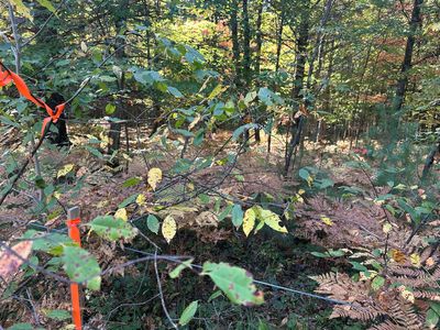 Par A 16th St, Baldwin, MI, 49304