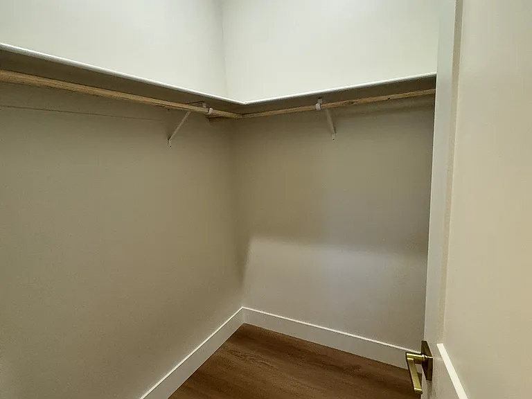 Primary bedroom closet
