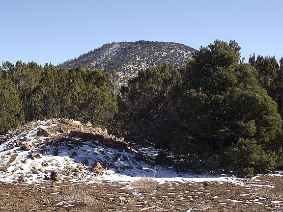 5th image of 2029 E Arizona St