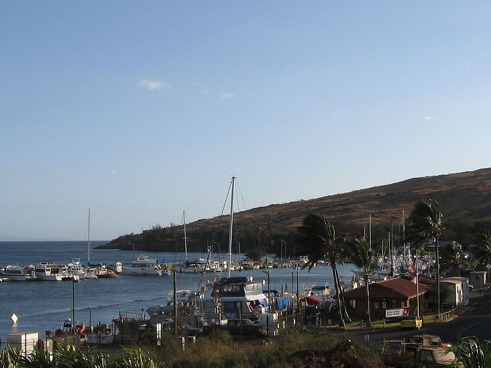 View from Lanai