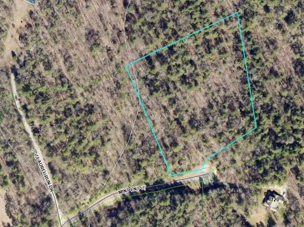 0 Mint Ln Tract 10, Callaway, VA 24067