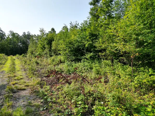 Lot 13 West Road, Springfield, ME 04487