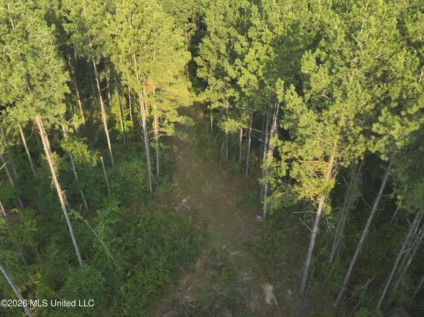 1178 Tolar Rd, Oak Vale, MS 39656