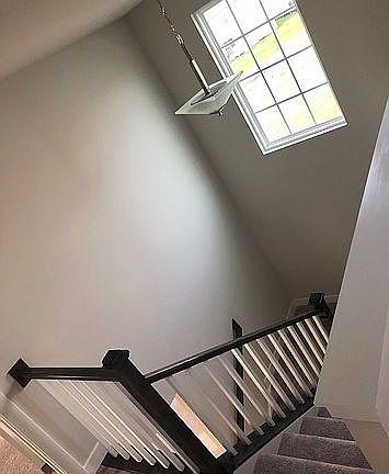 3rd image of 307 Goodwick Dr