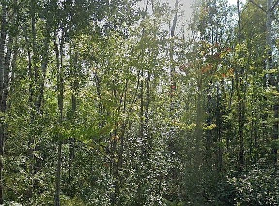 2nd image of 40ac E County Road B Road