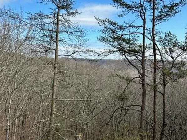 LOT 175 Big Piney Loop, Wilder, TN 38589