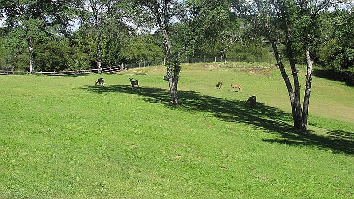 1st image of 18666 Bambi Ct