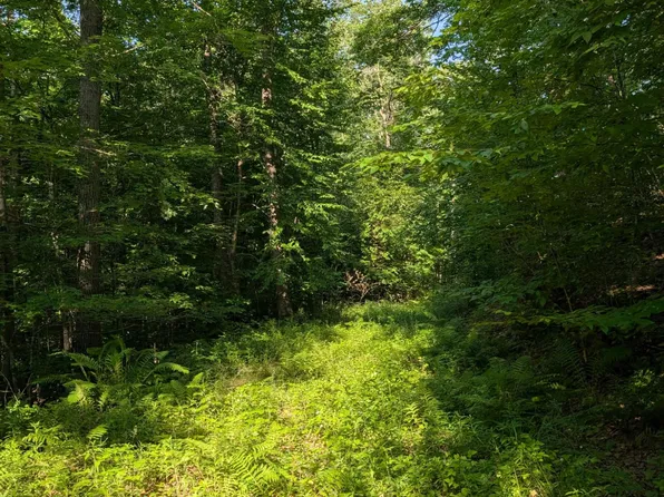 PARCEL 5 W Y Rd, Exeland, WI 54835