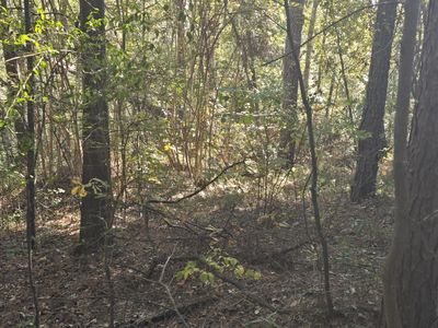 937 Bennock Mill Road, Augusta, GA, 30906