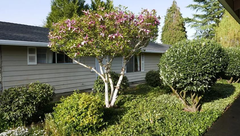 1st image of 444 SE 11th Ave