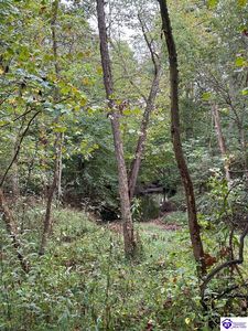 155 Foggy Bottom Ln, Garfield, KY, 40140