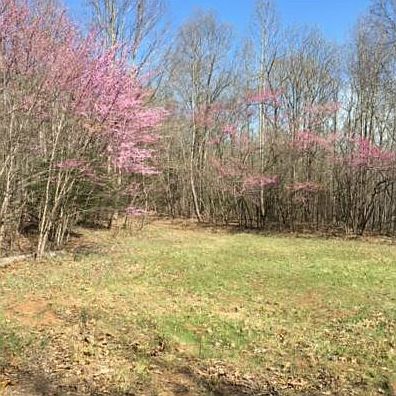 2nd image of 569 Tallapoosa Hwy