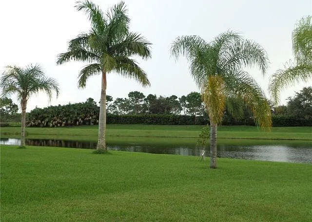 Rear View from Patio