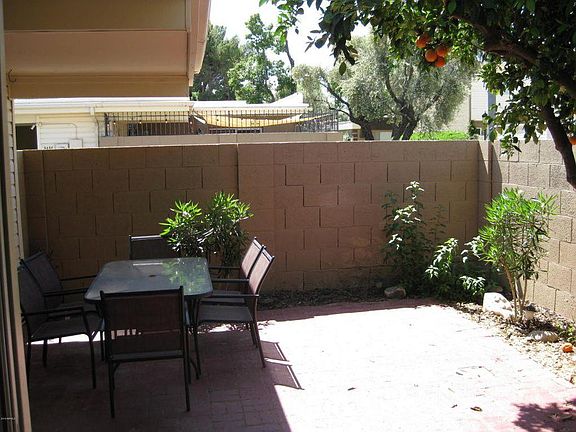 private enclosed patio with orange tree