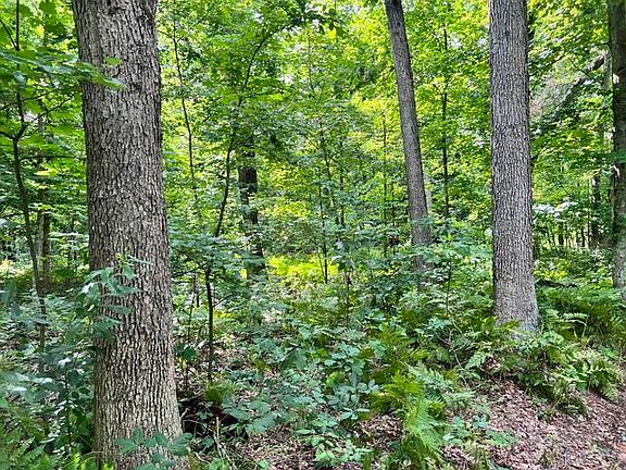 4th image of 10381 Woodland Ln