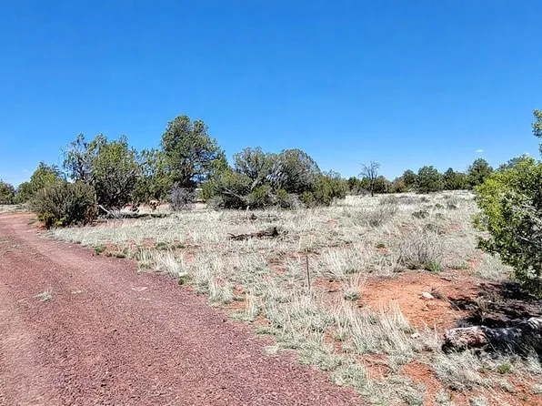 2340 S Hollyhock Ln, Williams, AZ 86046