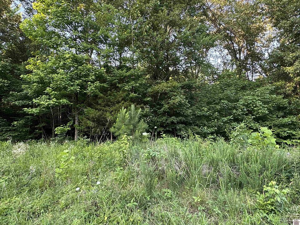 1st image of 1556 Hopkins Rd
