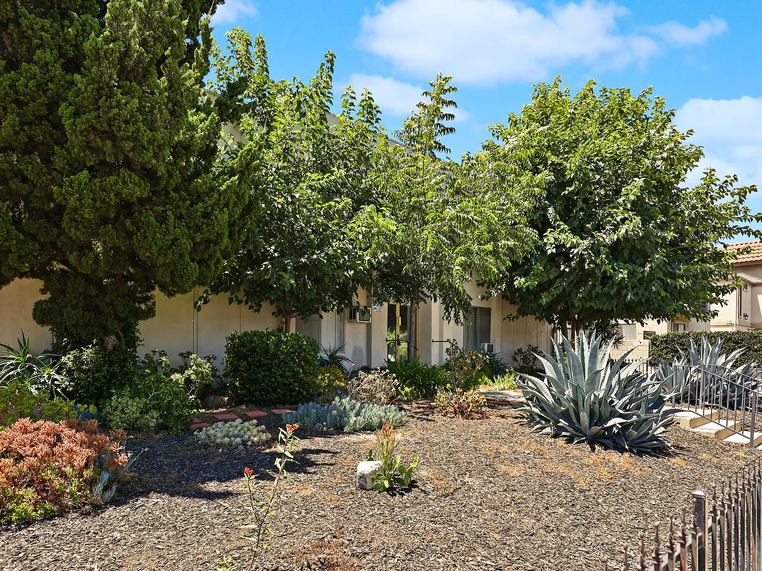 2 bed, 1.5 bath, 1000 sqft, $2,595 — Photo 3
