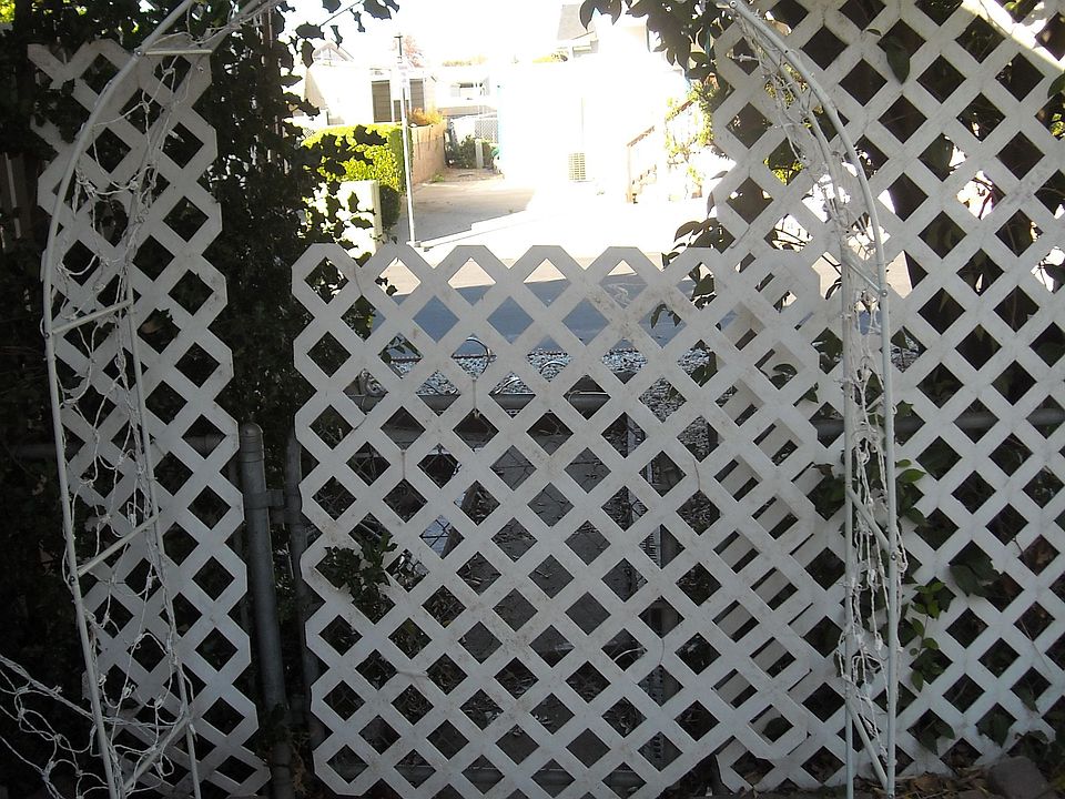 Looking out from the back yard