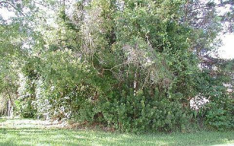 1st image of 154 Wellstone Dr