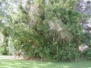 154 Wellstone Dr, Palm Coast, FL 32164