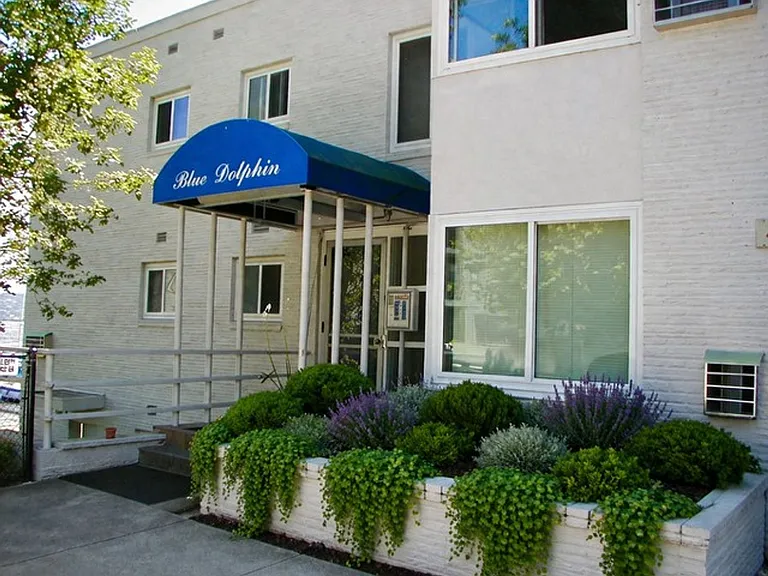 Blue Dolphin — Photo 1