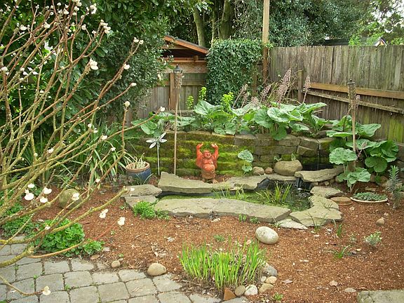 pond