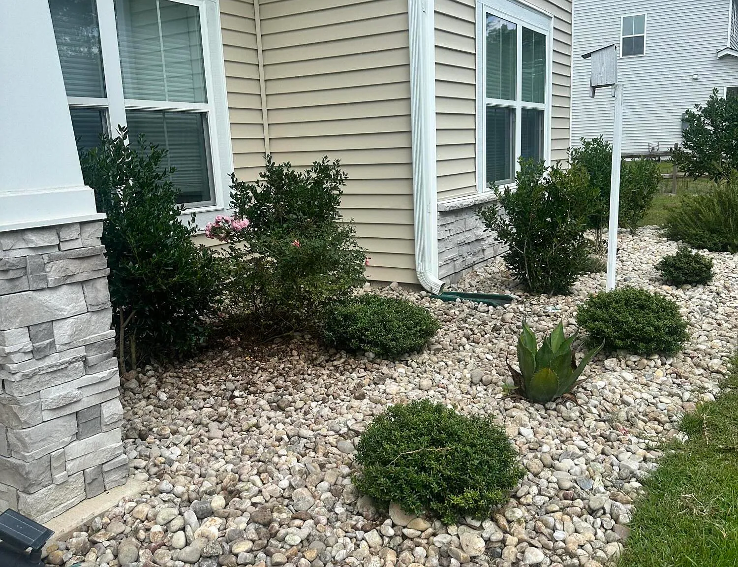 3 bed, 2.0 bath, $1,800 — Photo 2