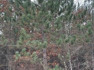 LOT 10 Cth E LOT 10-Y, Tomahawk, WI 54487