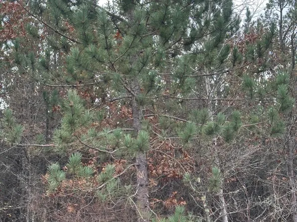 LOT 10 Cth E Lot 10-Y, Tomahawk, WI 54487